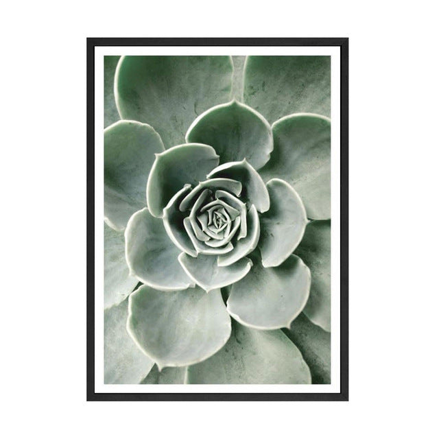 Pivoise Blanche Canvas Poster - PosterCoaster