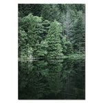 Forest Waterfall Bridge Canvas Poster - PosterCoaster