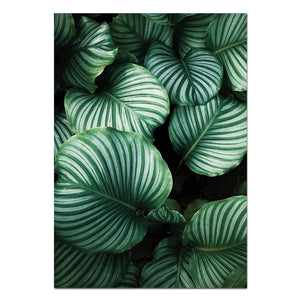 Green Plant Canvas Poster - PosterCoaster