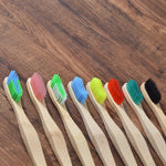Simple Rainbow Bamboo Toothbrushes - PosterCoaster